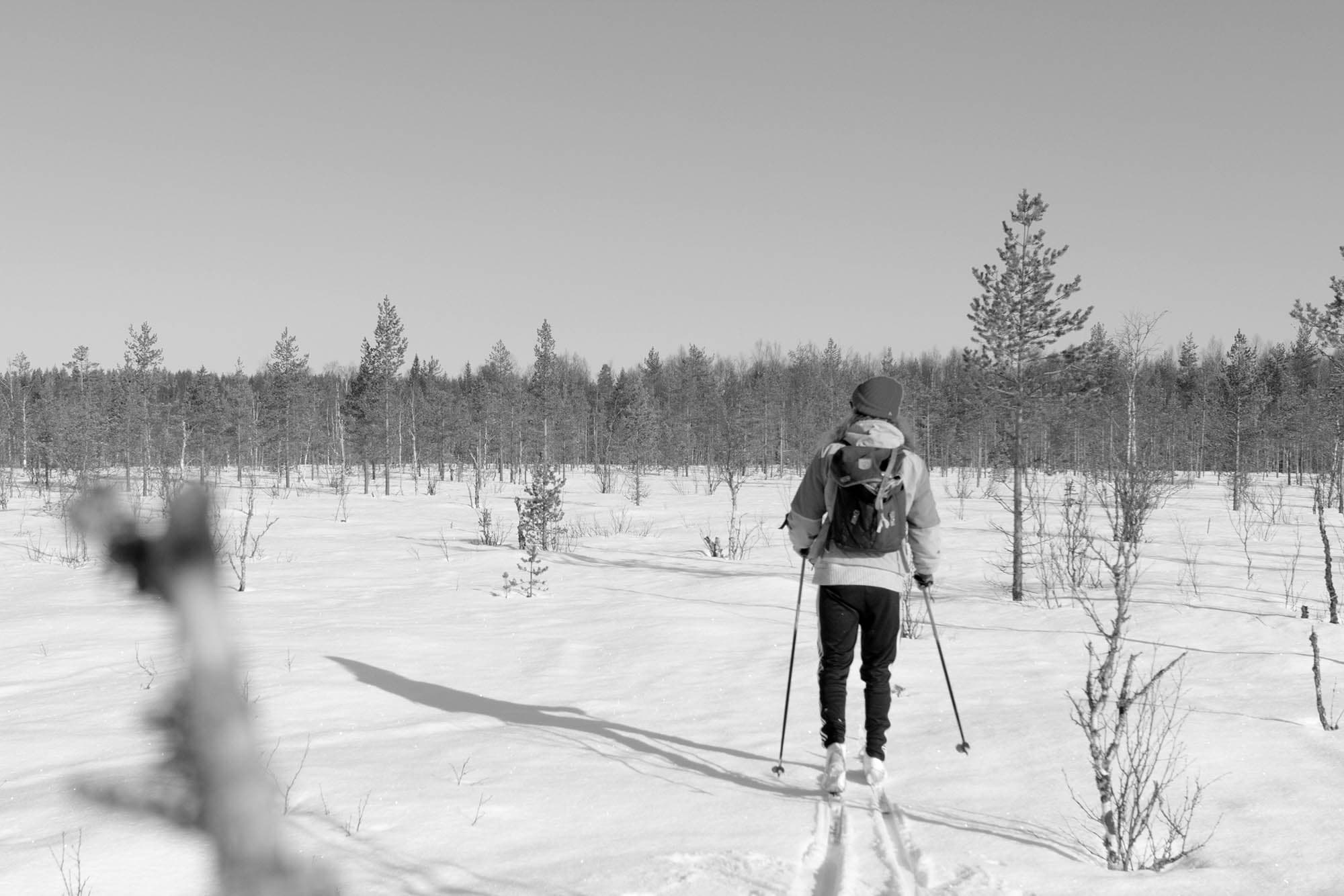 Samuli Susihukan teos Hetki ennen jälkien löytämistä 1, 2017, valokuva