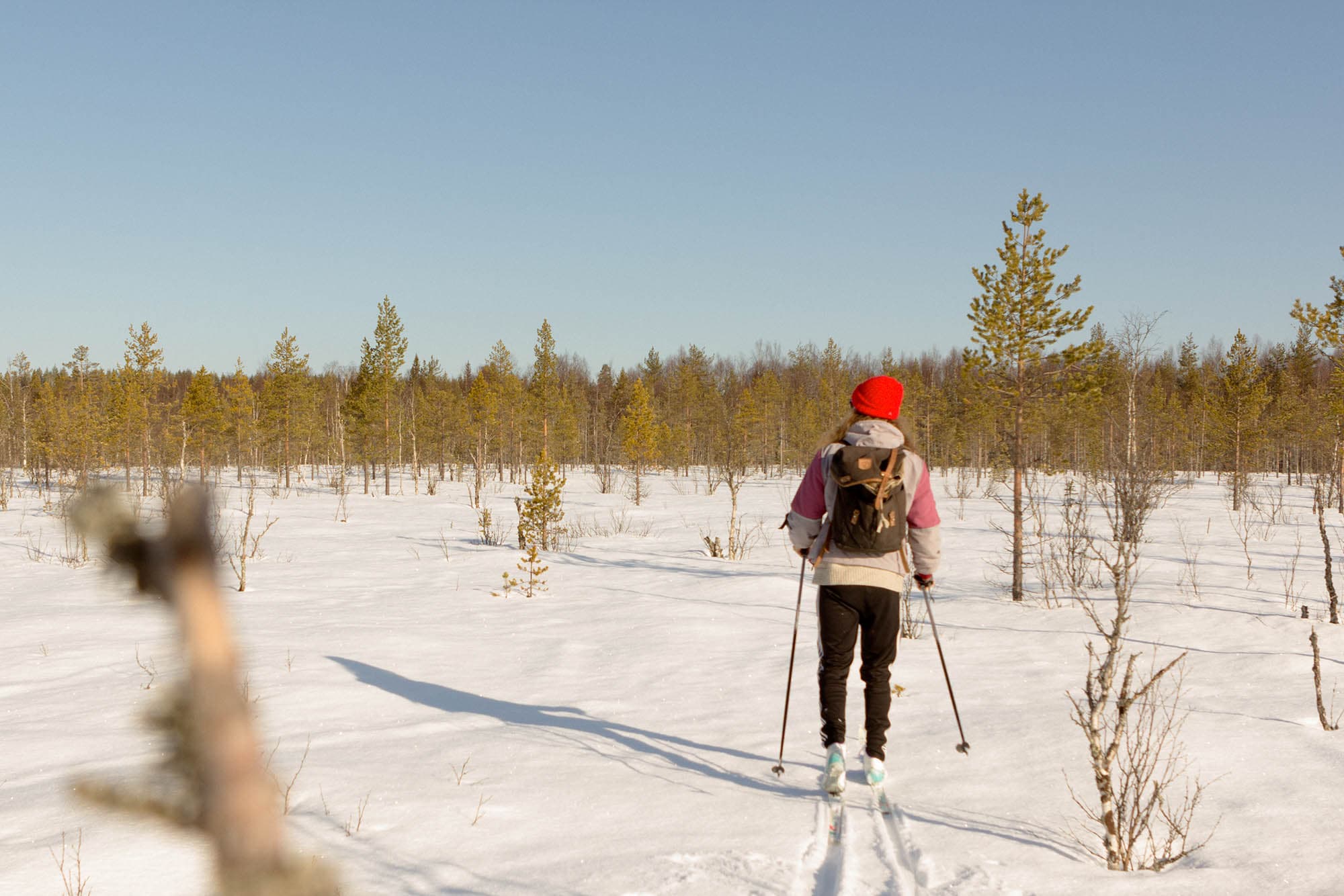 Samuli Susihukan valokuva Hetki ennen jälkien löytämistä 1