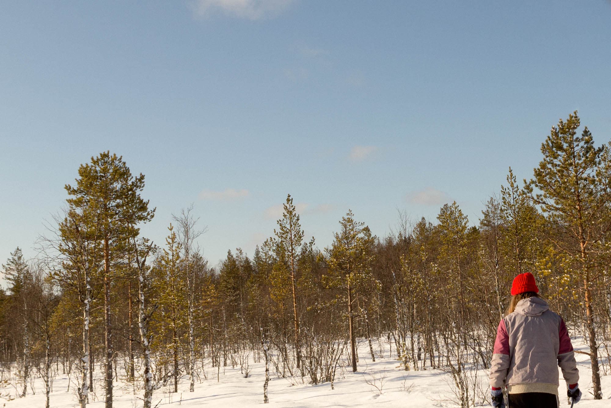 Samuli Susihukan valokuva Hetki ennen jälkien löytämistä 2