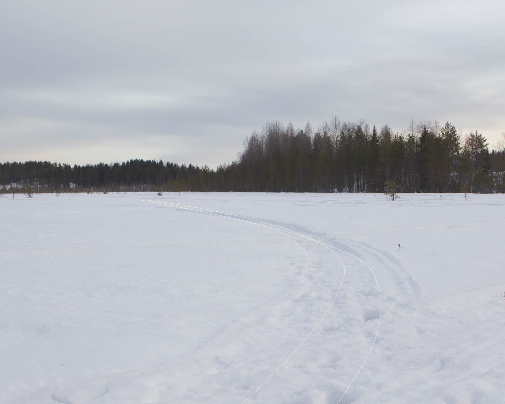 Samuli Susihukan valokuva Olisipa neljä jalkaa 1