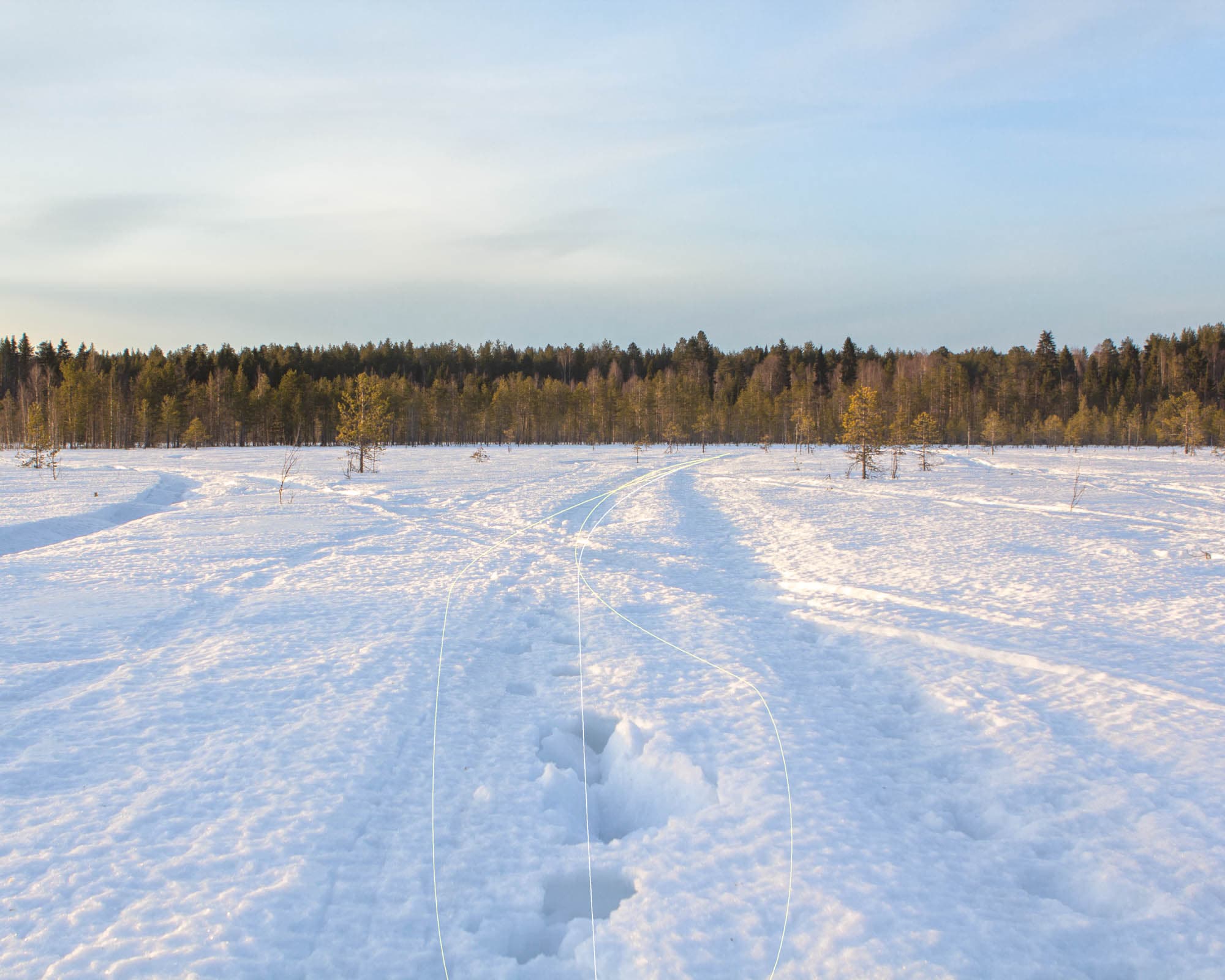 Samuli Susihukan valokuva Olisipa neljä jalkaa 2