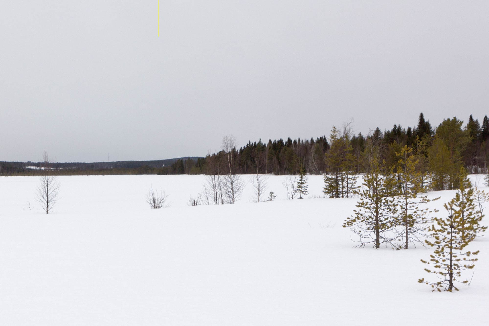 Samuli Susihukan valokuva Plane/lentokone